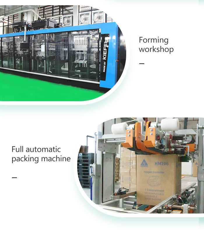 togo food boxes factory