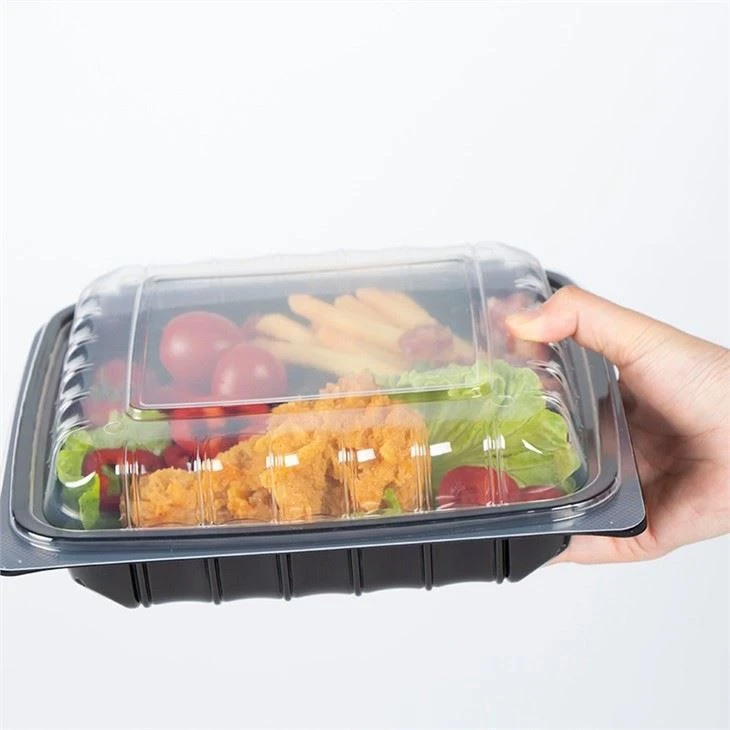 Disposable Containers