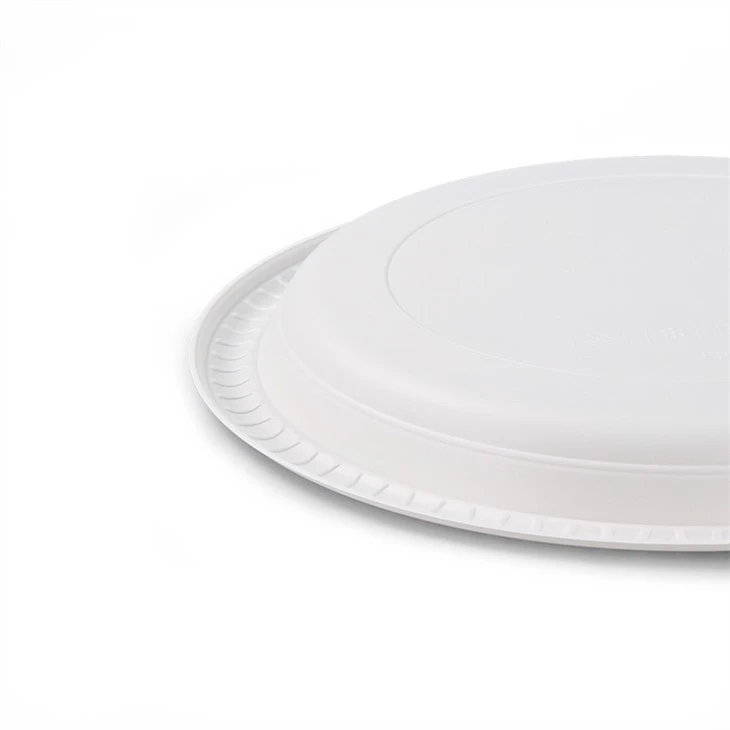 Plastic Party Plate