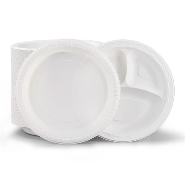 Plastic Party Plate