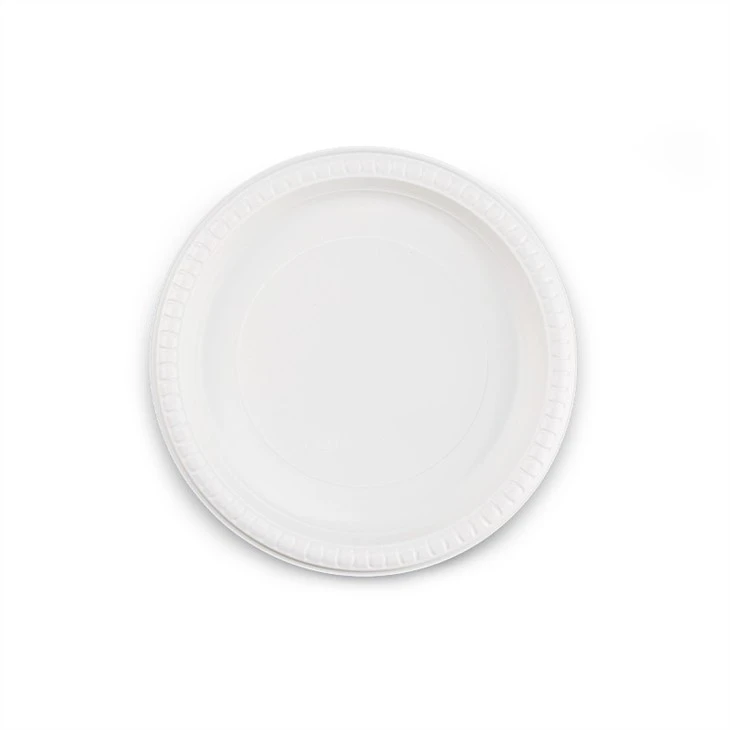 Plastic Party Plate