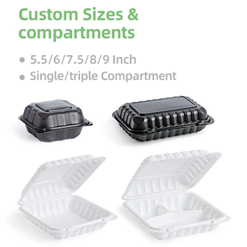 Plastic Containers Take Out best