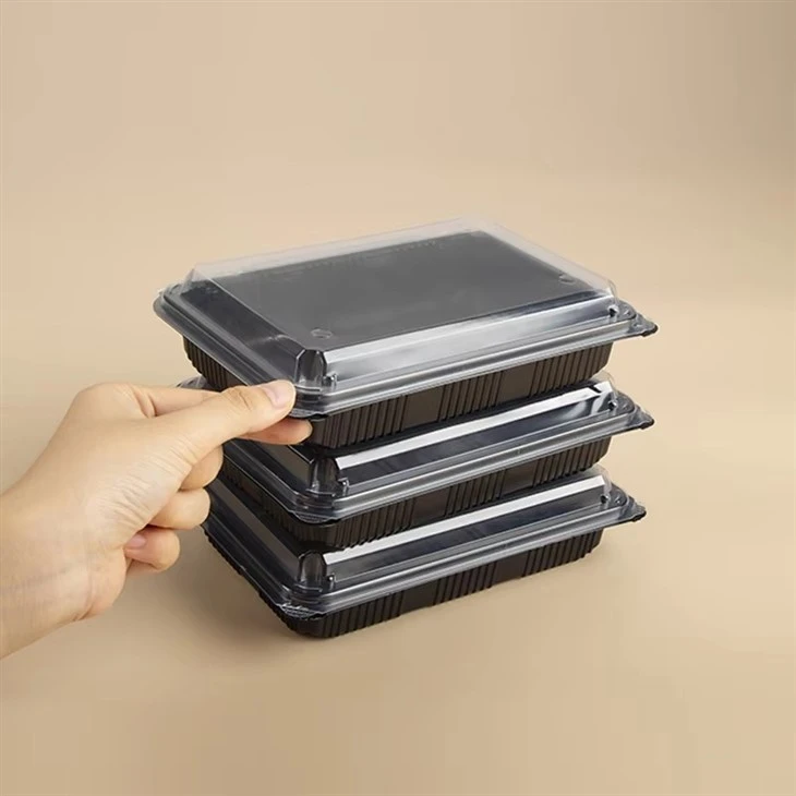 Small To Go Box high quality