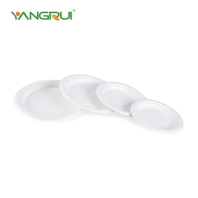 Bagasse Round Plate
