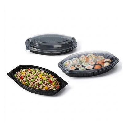 Disposable Box Plastic